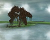 Lonely Tree Lake