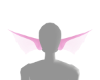 Syrkora ears