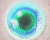 aquatic love eye