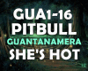 Pitbull - Guantanamera