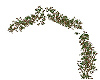 {LDs} Holly Berries Arch