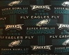 Philly Eagles Pillow 2