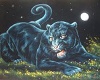 panther pic 2