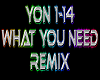 What You Need rmx