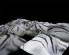 ~~DL~~ Pillow White Tige