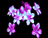 Flower 9