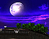 Moonlight Penthouse