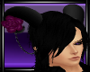~CC~Purple Rose Horns(M)