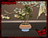 🌟 HummingBird Plant 2