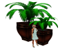 Lg Potted Plants