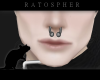 Fat Septum