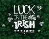 Luck of the Irish Pic
