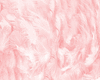 Background pink