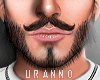 U. Undone Beard