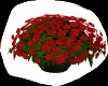 red basket flowers