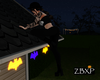 Climbing On Roof