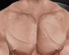 Physique Muscle 2025