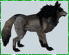 Wolf Animated