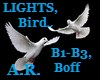 Lights,Birds, B1-3, 