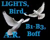 Lights,Birds, B1-3, Boff