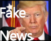 "You Are Fake News"