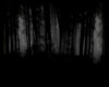!F Dark Forest