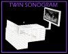 Twin Sonogram Equipment