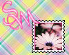 Pink Daisy Stamp