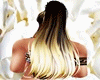 Cabelo Patroa Top