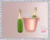 Kitten Pink Champagne