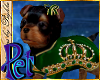 I~Royal Yorkie*Em Pet