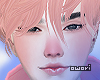 ✖ Blush┊Pink Nose