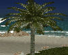 ~PS~ Animated Palm1