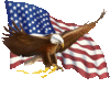 American Eagle And Flag