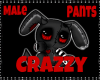 |P| CRAZZI FAM PANTS