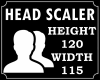 !! Head Scaler 120/115