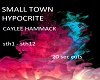 Small Town Hypocrite