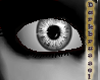 [D] Crystal Eyes:Grey