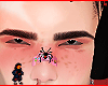 Bory brows