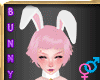 White Bunny Ears [M/F]