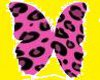 Pink Leopard Butterflies