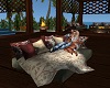 Paradise Cuddle Chat