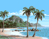 Animated Palm