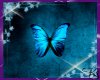 Nova's Blue Butterfly 5