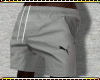 BMW Shorts