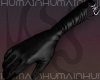 ☼ Empress Gloves (S)