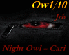 Night Owl - Cari