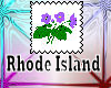 Rhode Island Flower