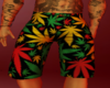 Reggae Long Shorts
