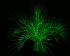 plant palm green